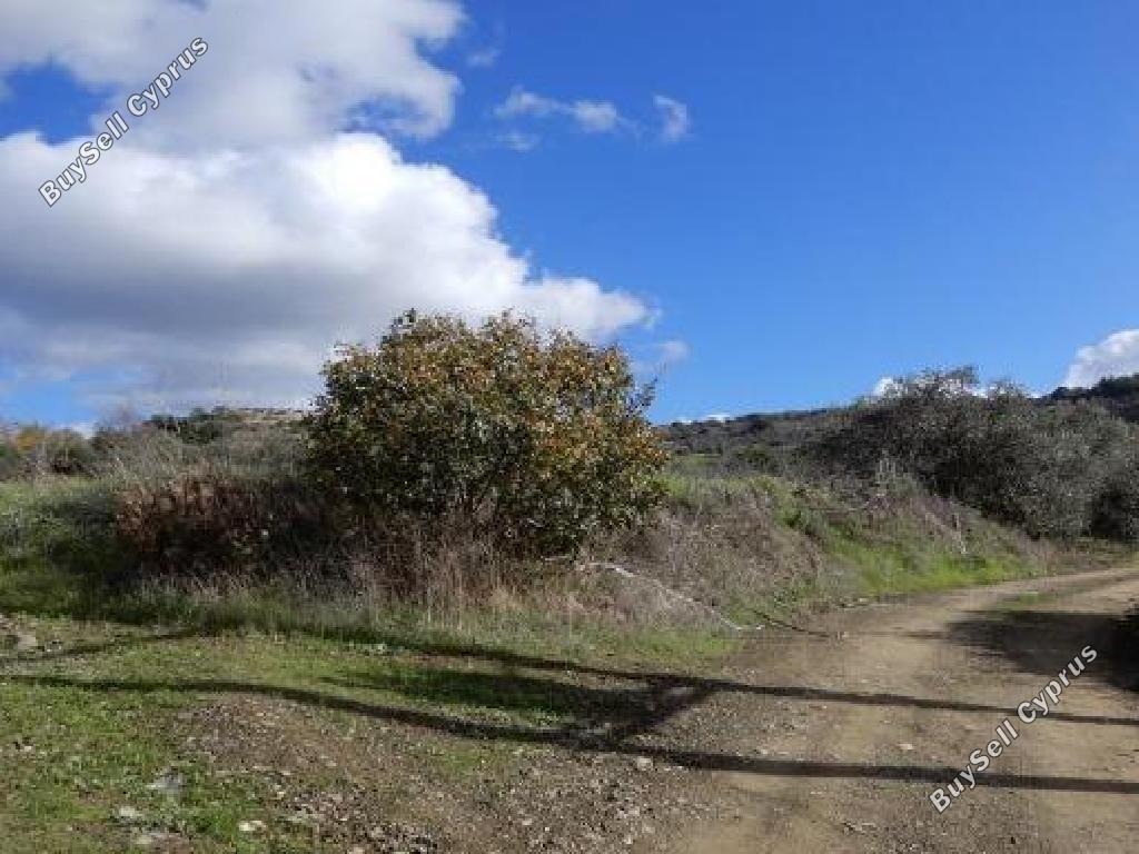 land for sale meladia paphos 1907524 image 7348175
