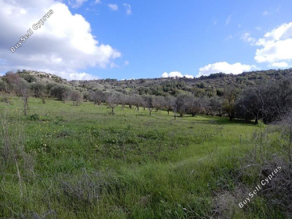 land for sale meladia paphos 1907524 image 7348176