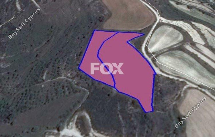 land for sale tsada paphos 1158524 image 5486666