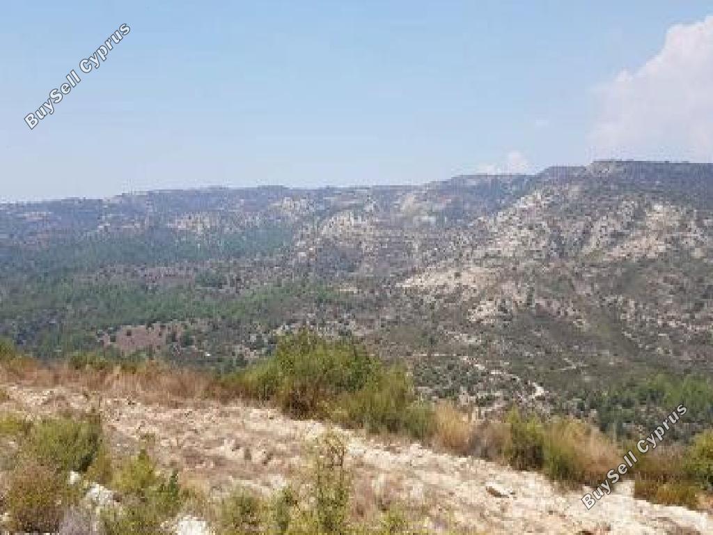 land for sale dora limassol 8338624 image 15595992
