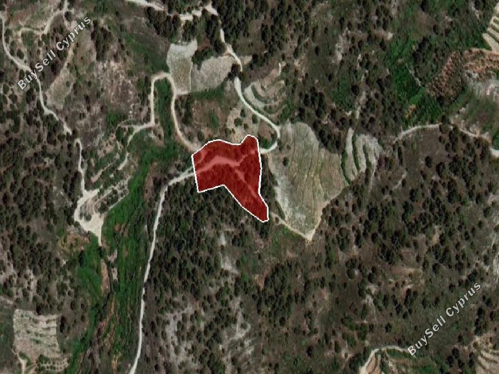 land for sale pelendri limassol 931624 image 15603294