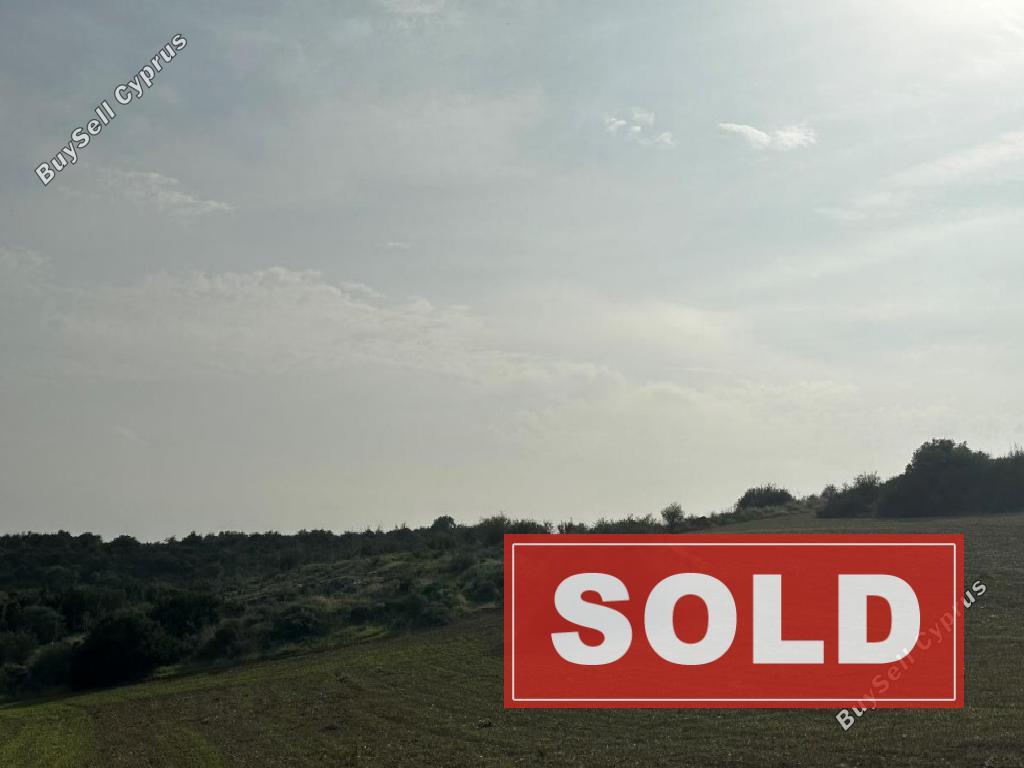 land sold choirokoitia larnaca 8489624 image 15972205