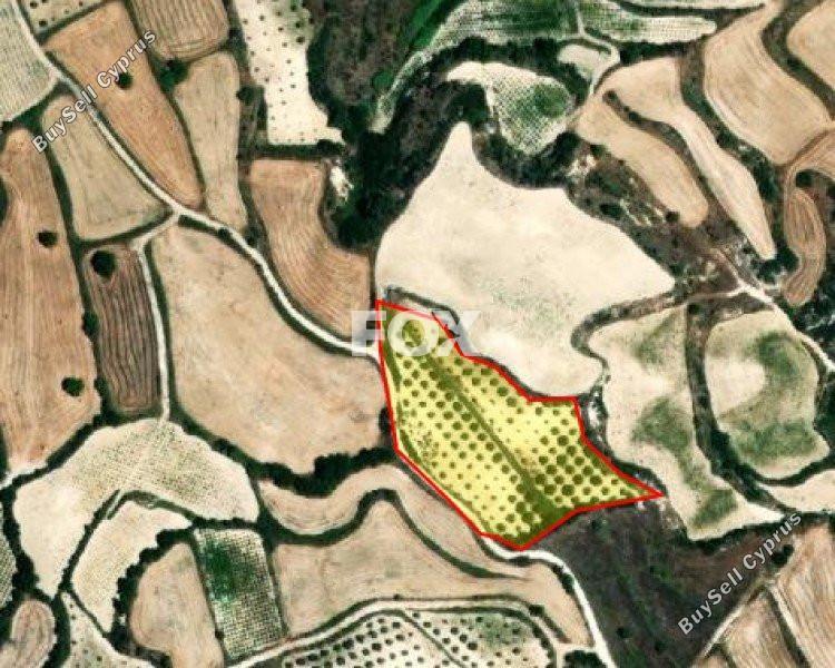 9700 SQM Land for sale in Letymvou, Paphos 14827183