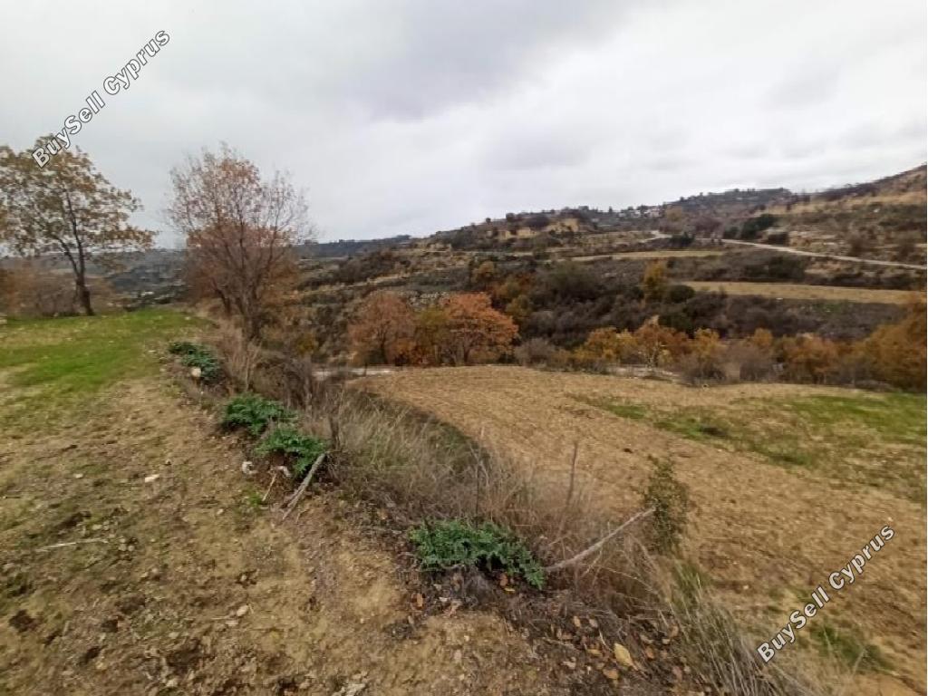 land for sale agios dimitrianos paphos 1016724 image 16700611