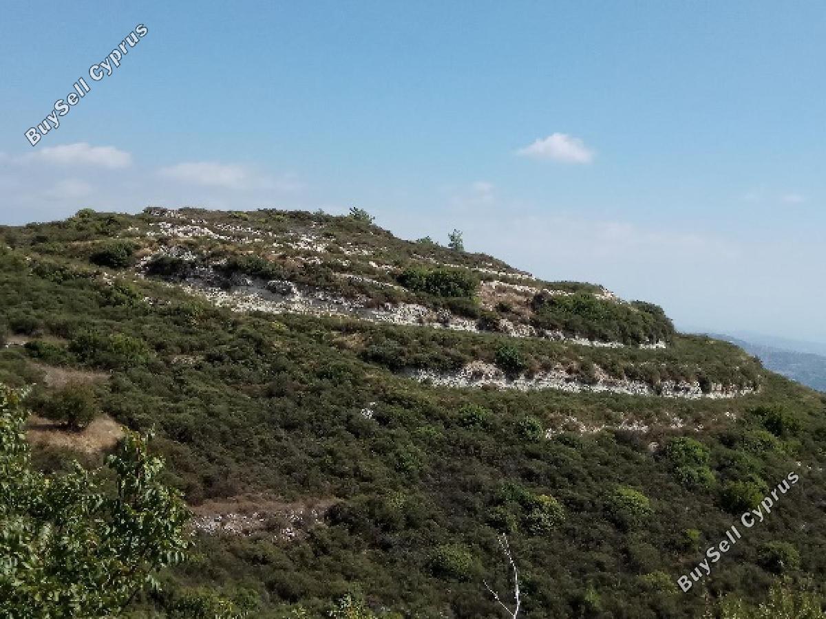 land for sale agios therapon limassol 8726724 image 16333537