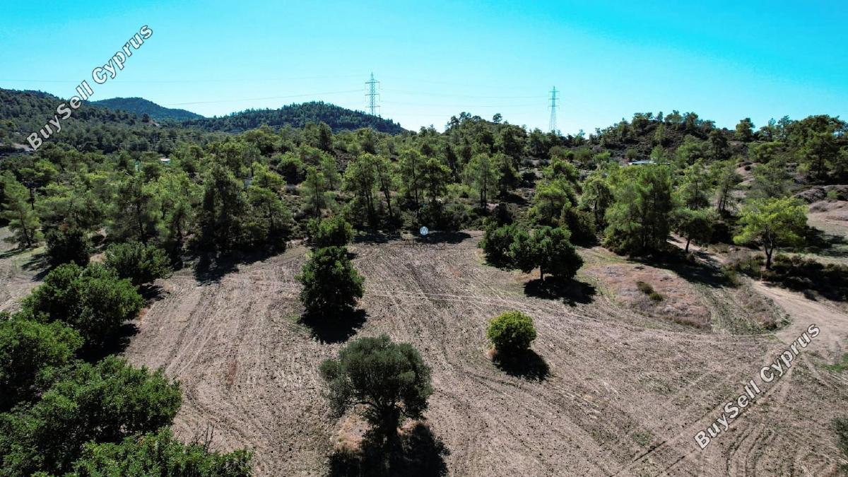 land for sale kornos larnaca 1554724 image 5657722