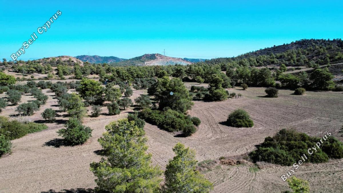 land for sale kornos larnaca 1554724 image 5657725