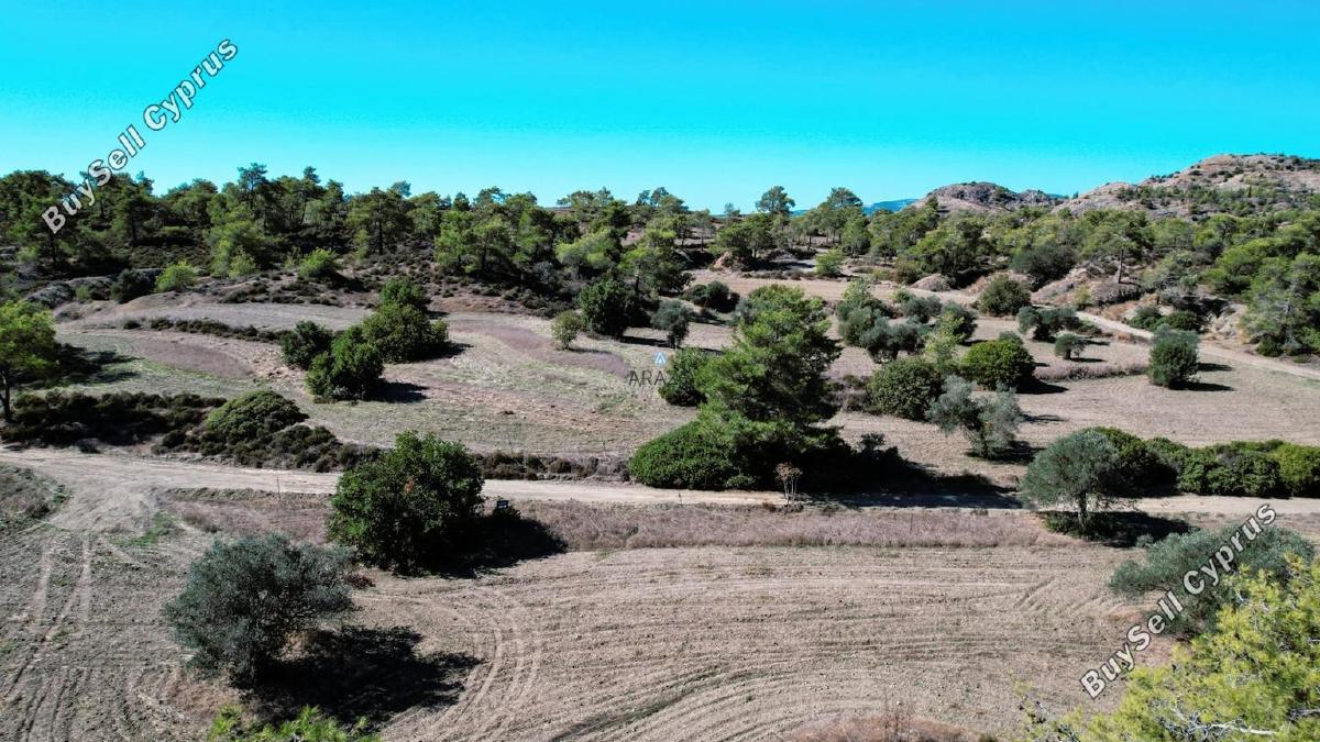 land for sale kornos larnaca 1554724 image 5657731