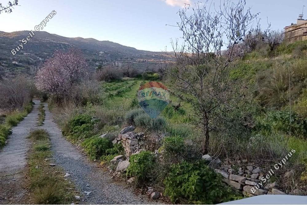 land for sale doros limassol 7507824 image 14143892