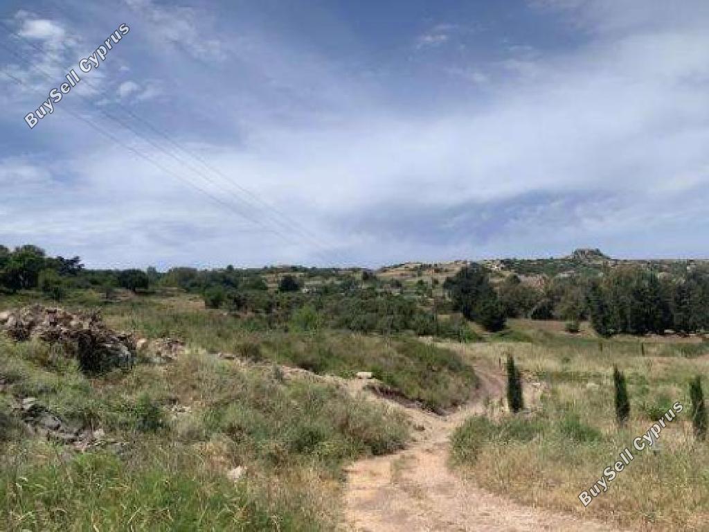 land for sale drousia paphos 1861824 image 15597066