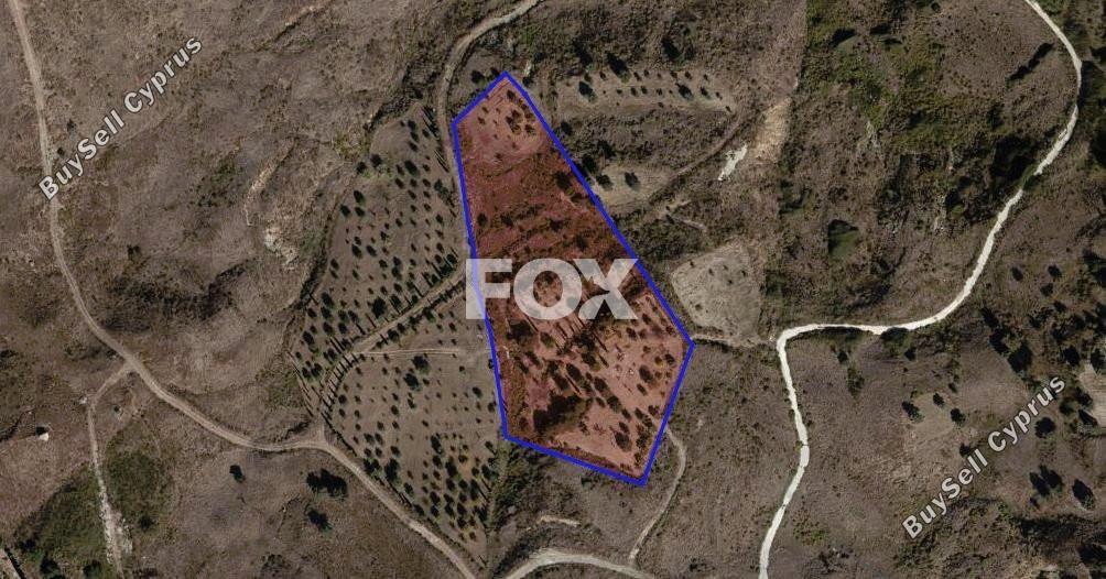 land for sale lasa paphos 1280824 image 5584731