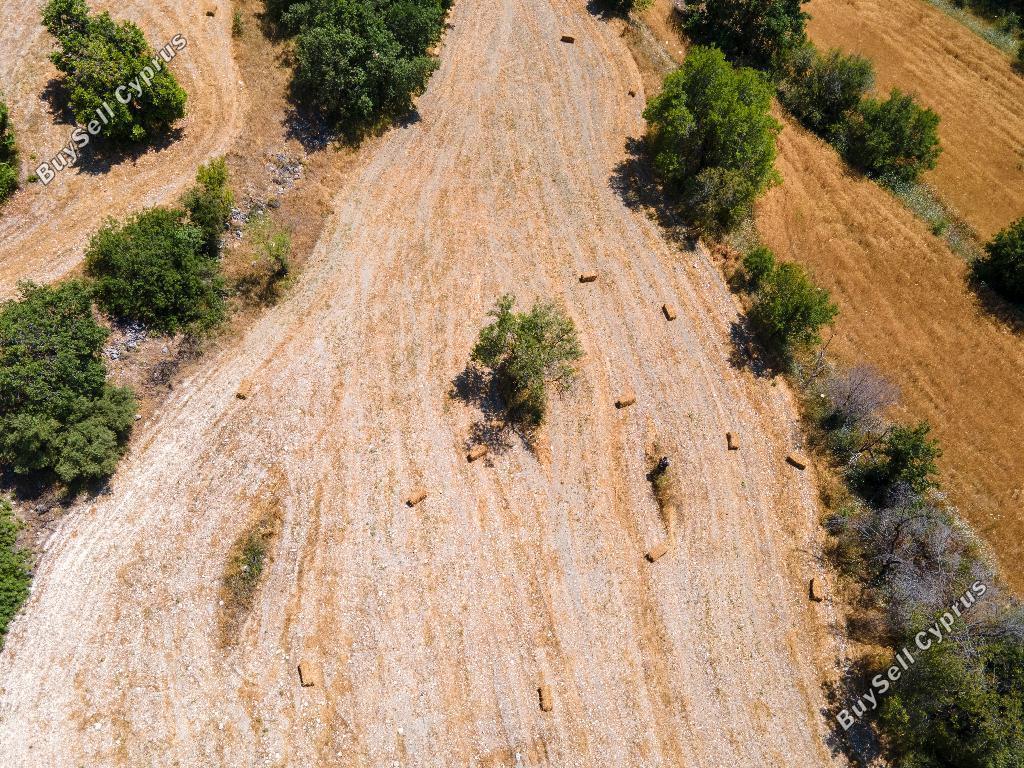 land for sale lysos paphos 1751824 image 15597621