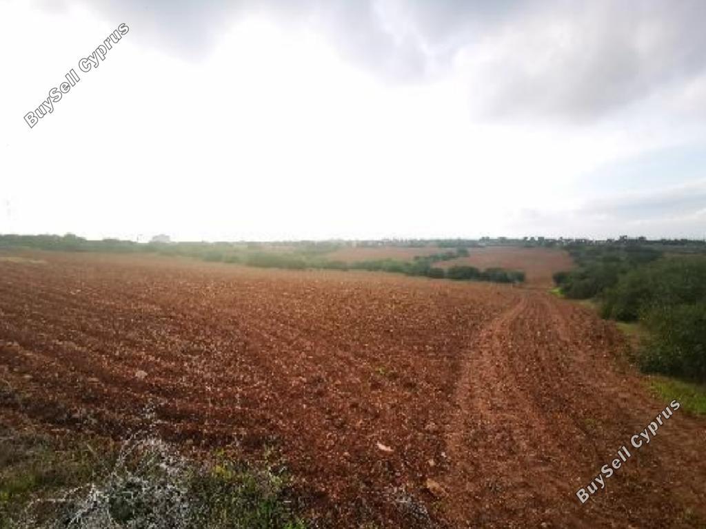 land for sale paralimni famagusta 939924 image 13340183