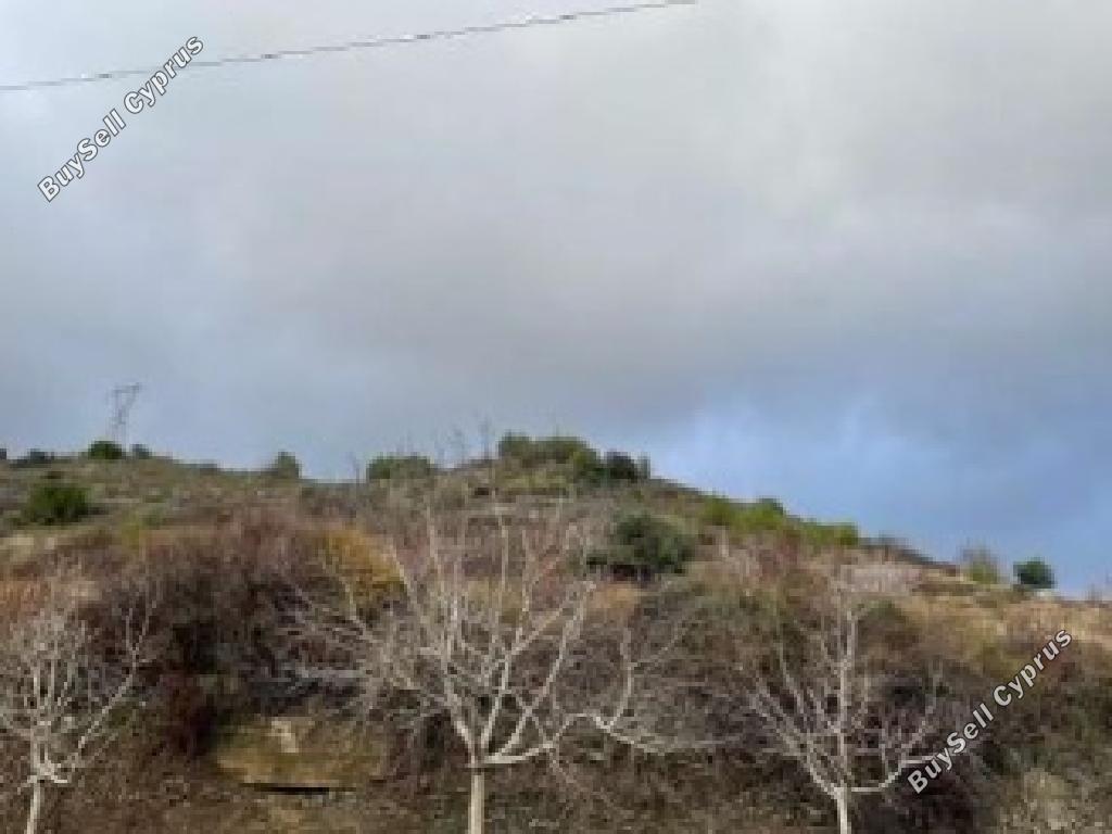 land for sale pelendri limassol 1081924 image 16009755