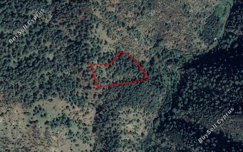 land for sale pigenia nicosia 829924 image 15664024