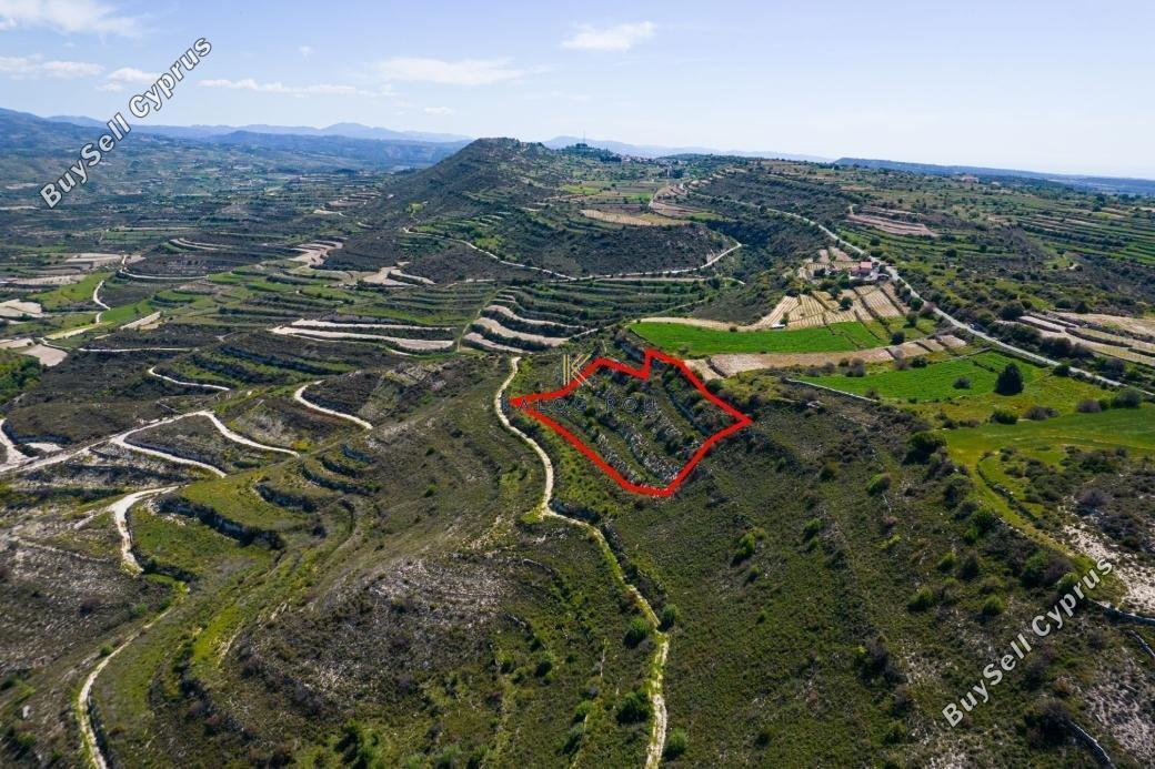 plot for sale pachna limassol 1650924 image 5679629