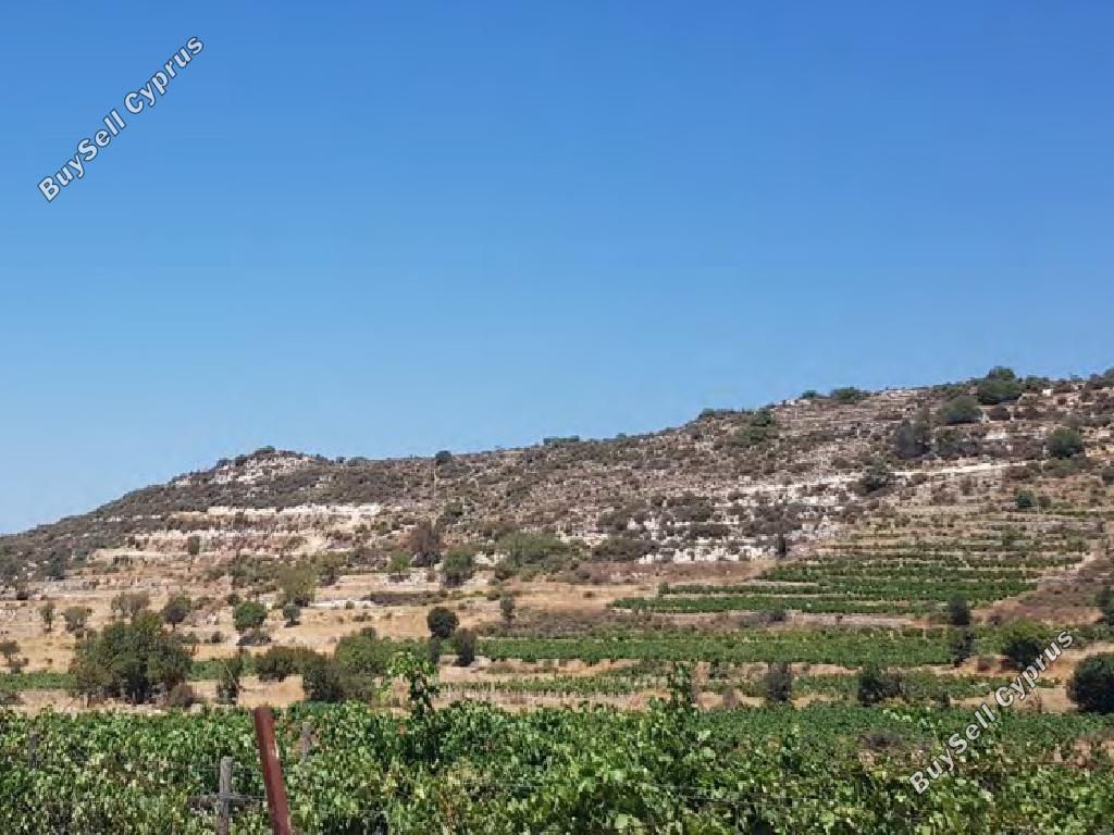 land for sale pachna limassol 848034 image 15602515
