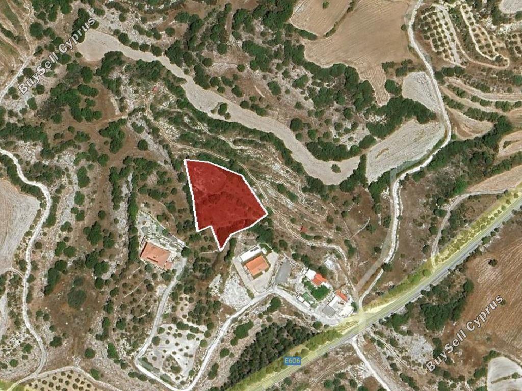 land for sale amargeti paphos 7533134 image 16700665