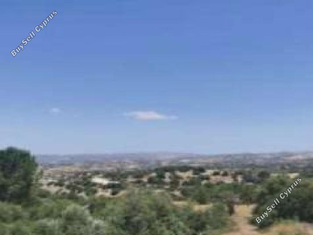 land for sale amargeti paphos 7533134 image 16700666