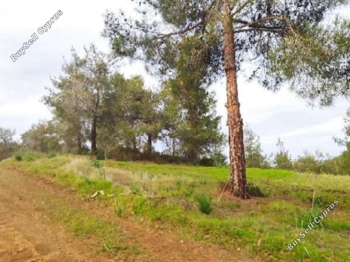 land for sale kaimakli nicosia 8716134 image 16294306