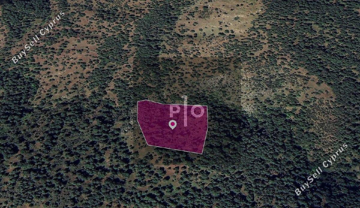 land for sale pigenia nicosia 8275134 image 15157802