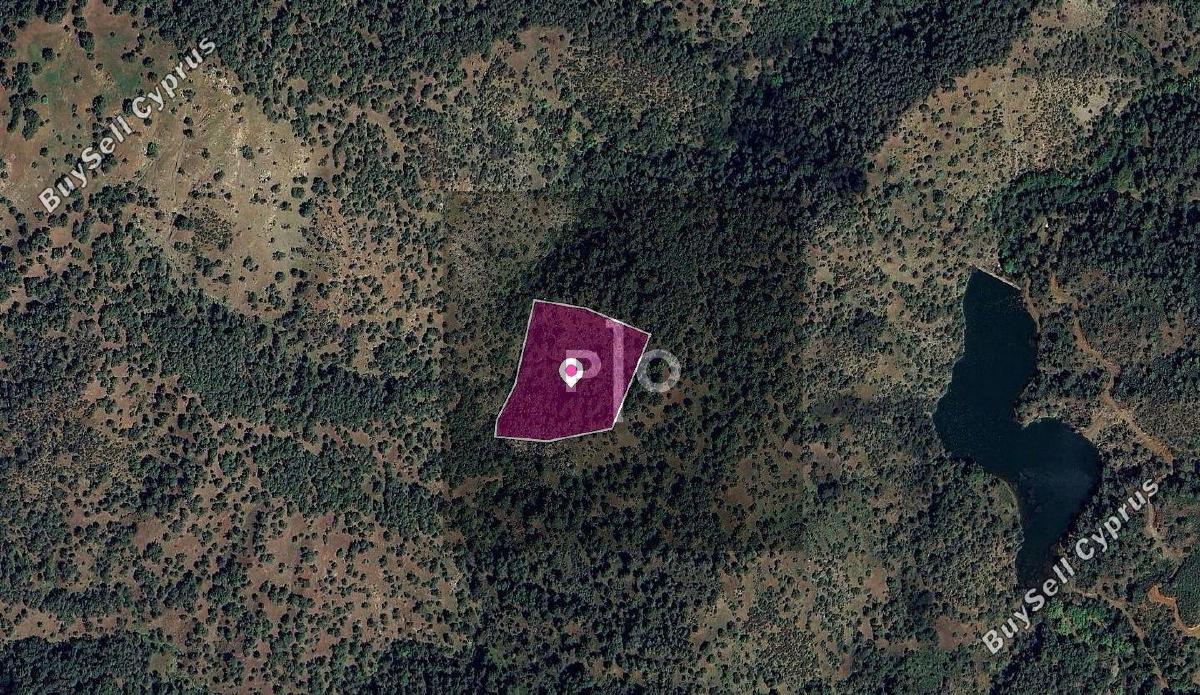 land for sale pigenia nicosia 8275134 image 15157803