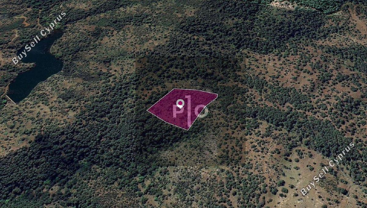 land for sale pigenia nicosia 8275134 image 15157806
