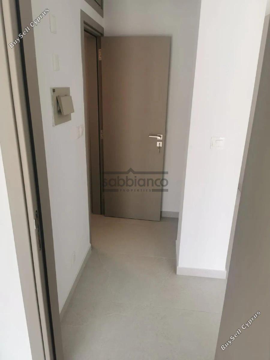1 bedroom apartment for rent larnaca municipality larnaca 8740234 image 16379612