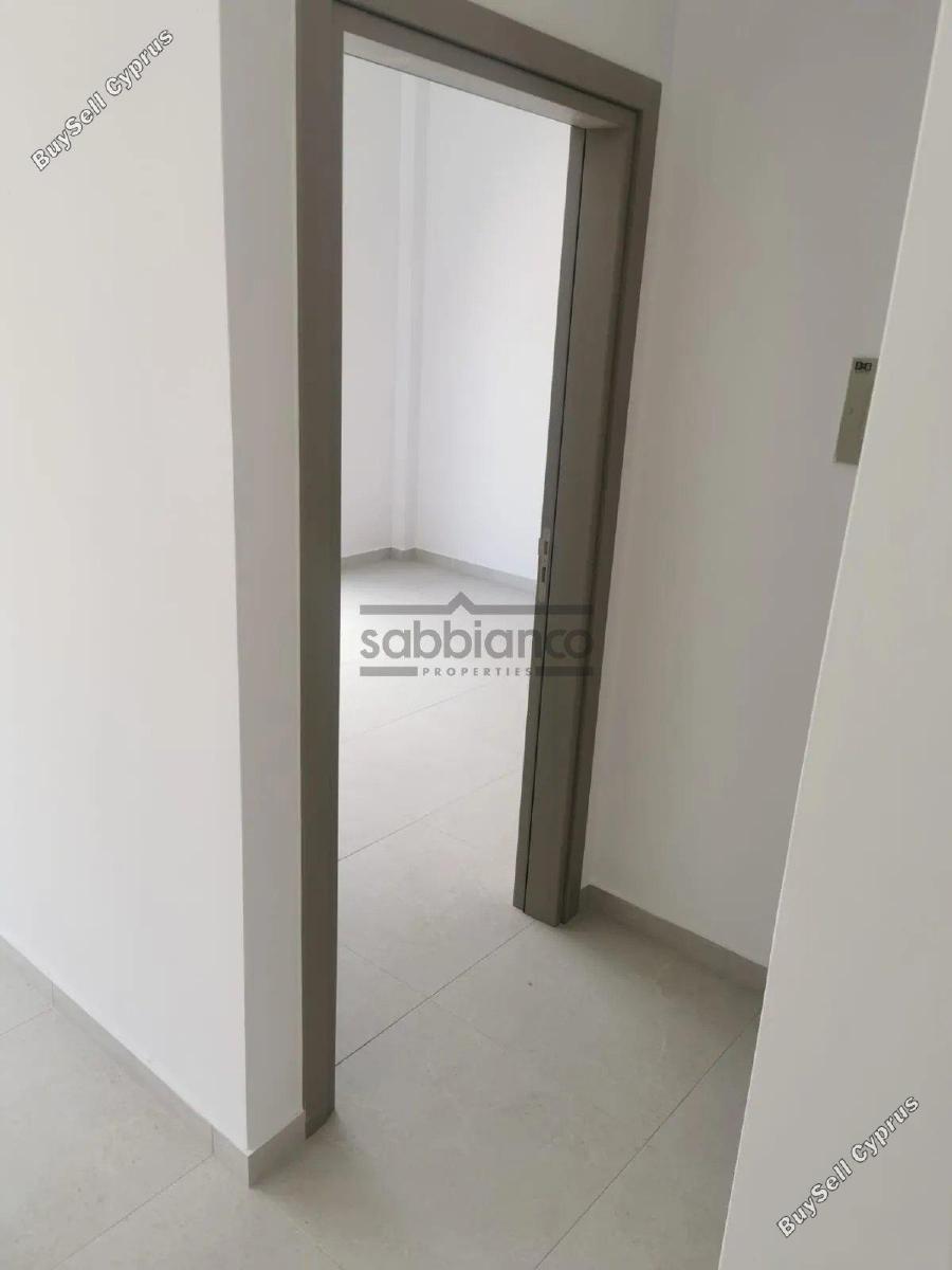 1 bedroom apartment for rent larnaca municipality larnaca 8740234 image 16379613