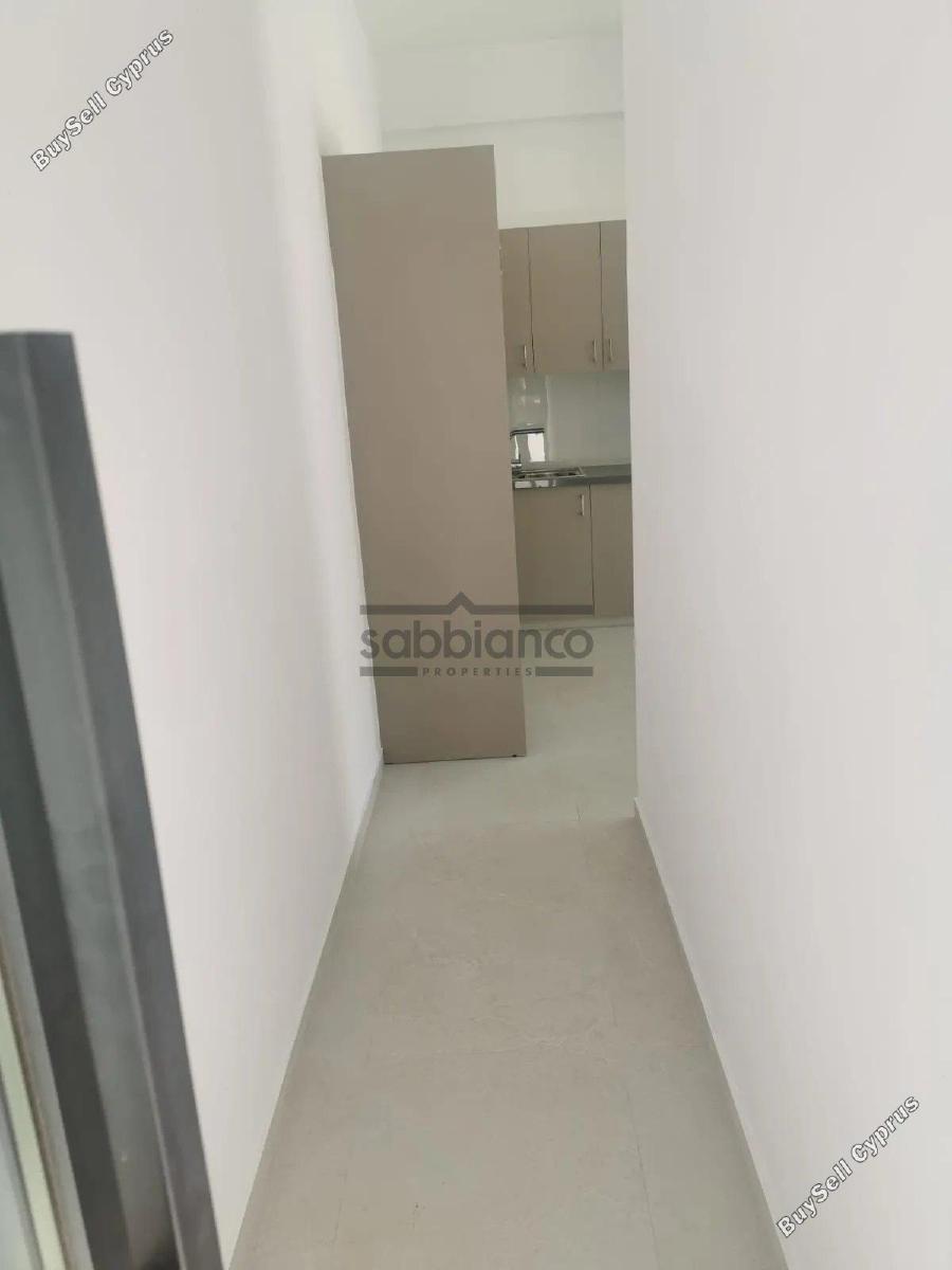 1 bedroom apartment for rent larnaca municipality larnaca 8740234 image 16379614