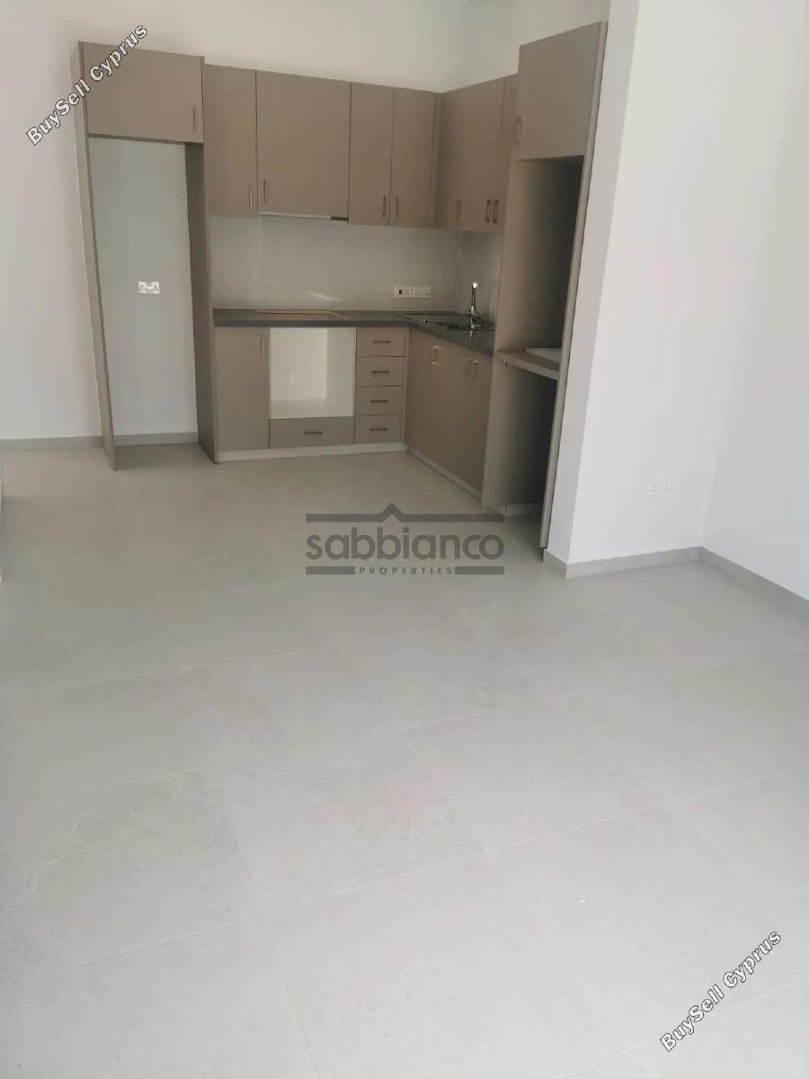 1 bedroom apartment for rent larnaca municipality larnaca 8740234 image 16379616