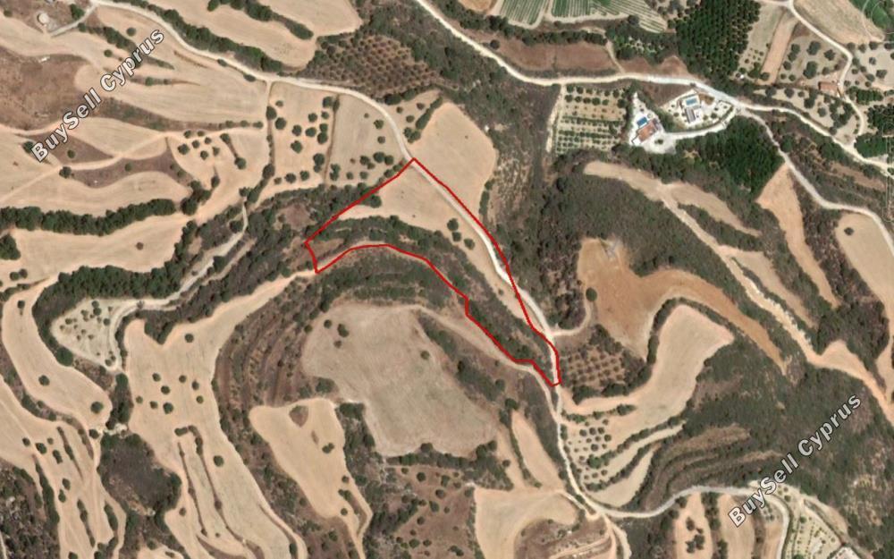 13713 SQM Land for sale in Skoulli, Paphos 16703158