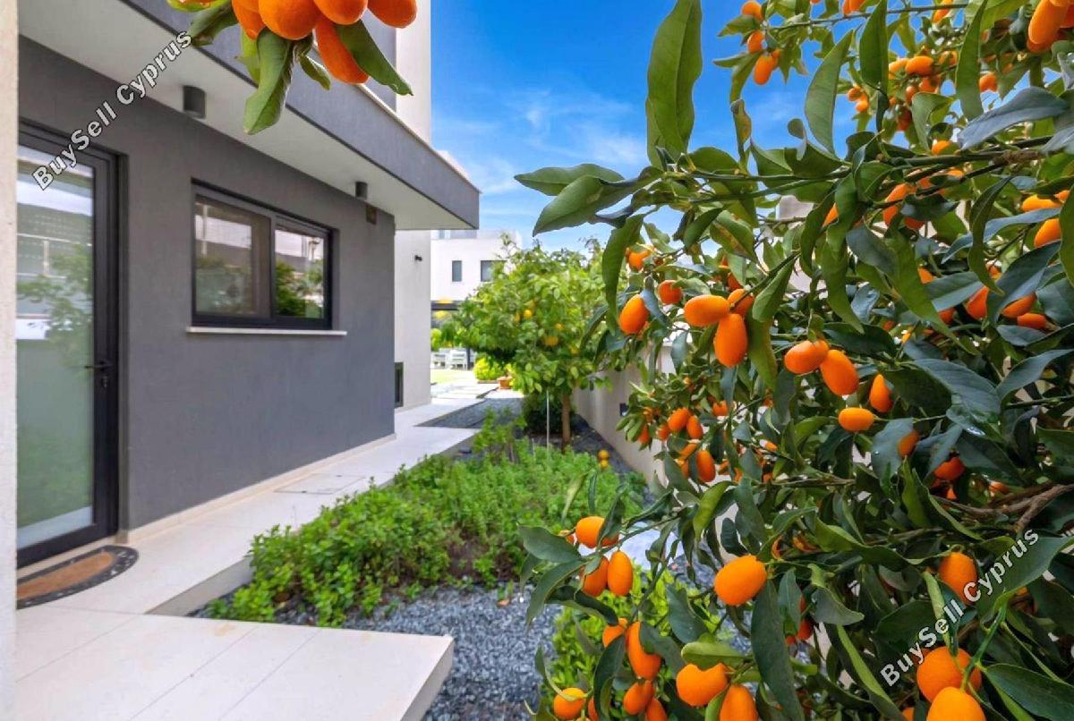 5 bedroom detached house for rent agios athanasios limassol 8160234 image 16232702