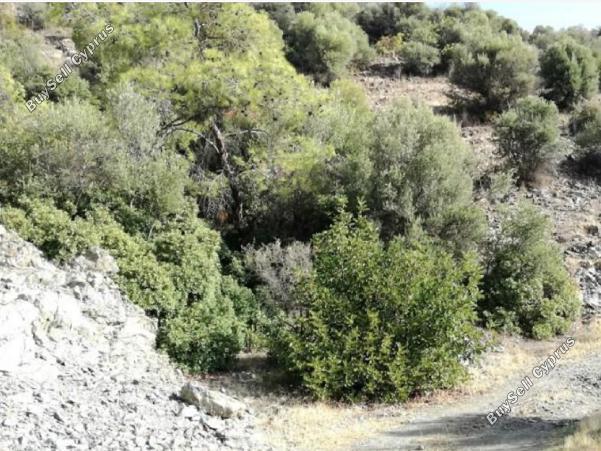 land for sale foinikaria limassol 1932234 image 14473181
