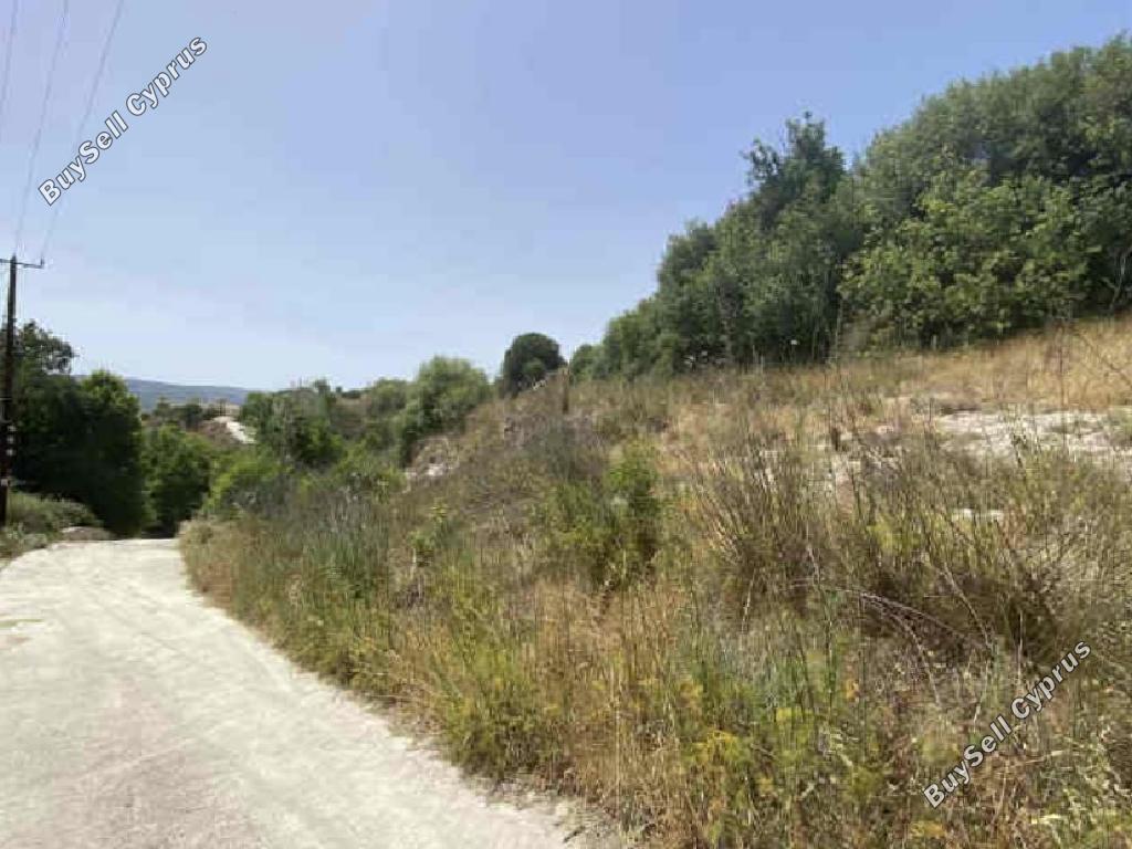 6690 SQM Land for sale in Simou, Paphos 15598210