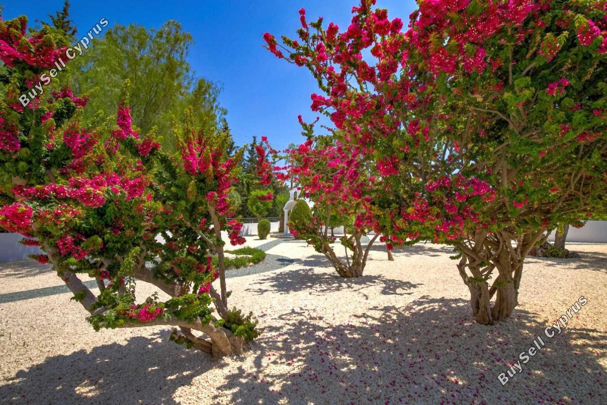 5 bedroom detached house for sale kouklia pafou paphos 1850334 image 12870563