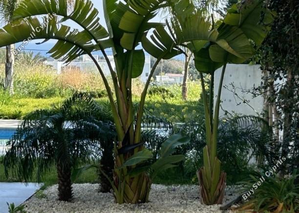 5 bedroom detached house for sale protaras famagusta 7452334 image 13136810