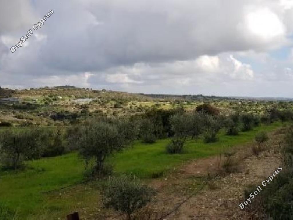 land for sale anogyra limassol 1899334 image 15597245