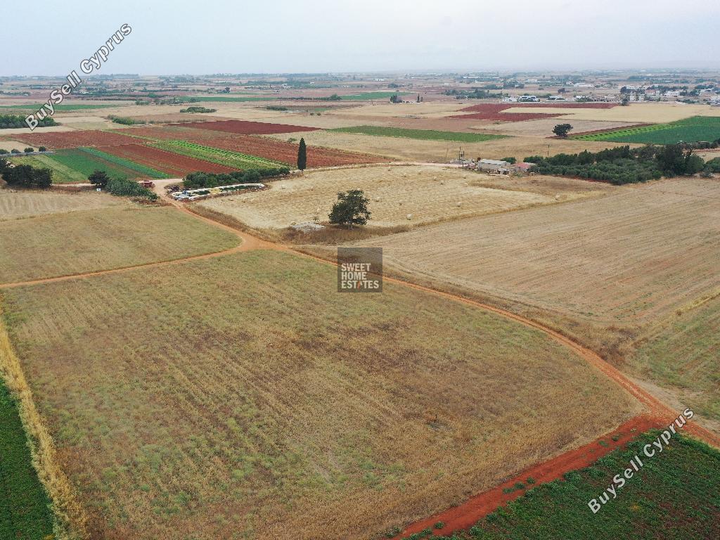 land for sale avgorou famagusta 8765334 image 16560553