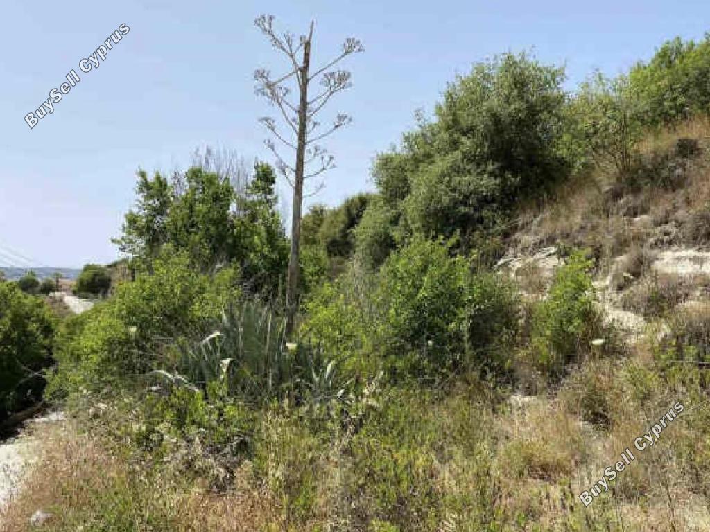 land for sale simou paphos 1578334 image 15598209