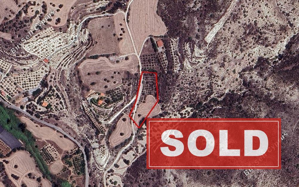 land sold kalavasos larnaca 1558334 image 3888171