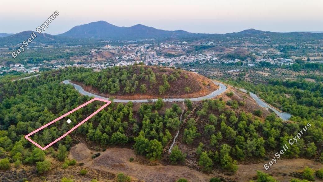 plot for sale kornos larnaca 8175334 image 13561404