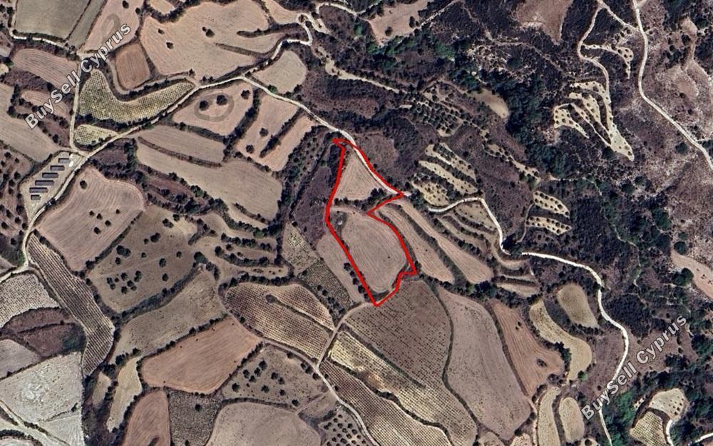 land for sale drynia paphos 8680434 image 16574766