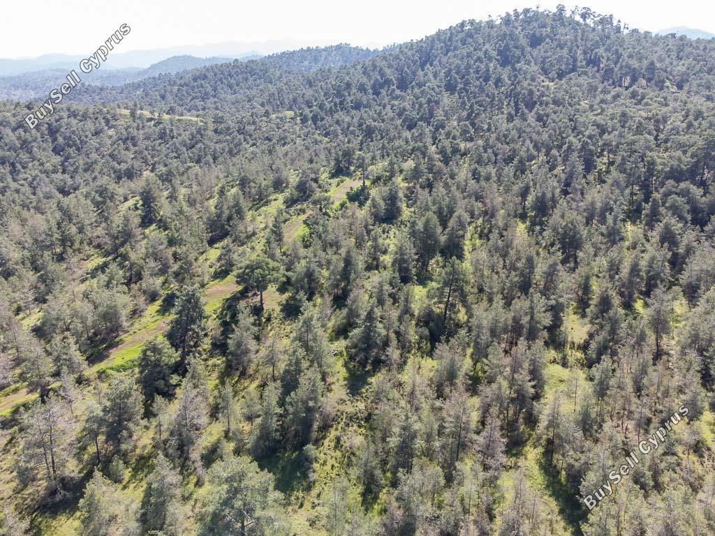 land for sale mitsero nicosia 1158434 image 15865023