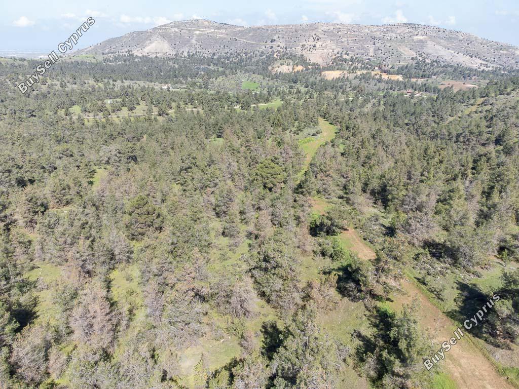 land for sale mitsero nicosia 1158434 image 15865025