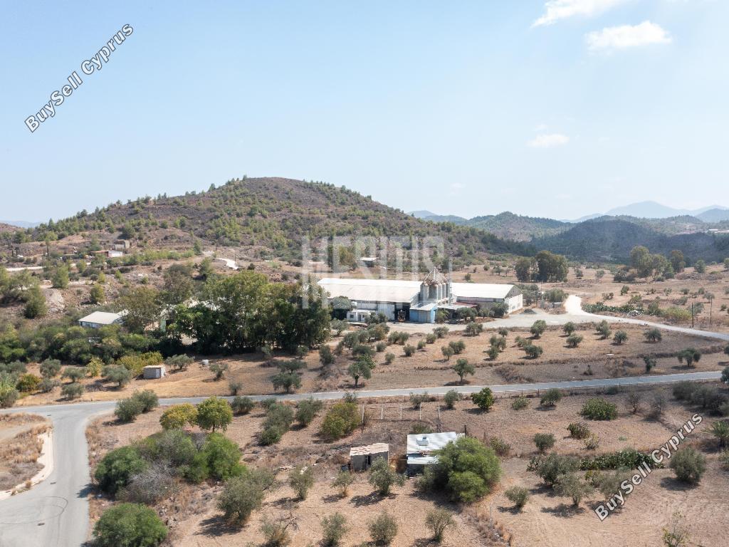 studio warehouse for sale agia varvara nicosias nicosia 8249434 image 13880376