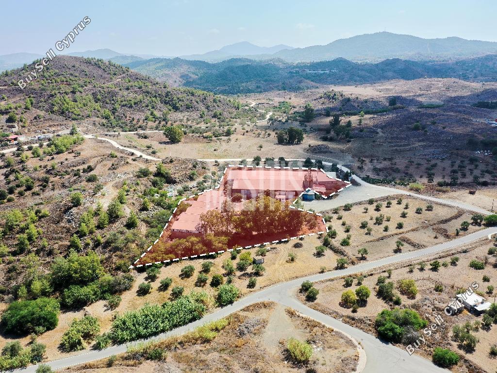 studio warehouse for sale agia varvara nicosias nicosia 8249434 image 13880380