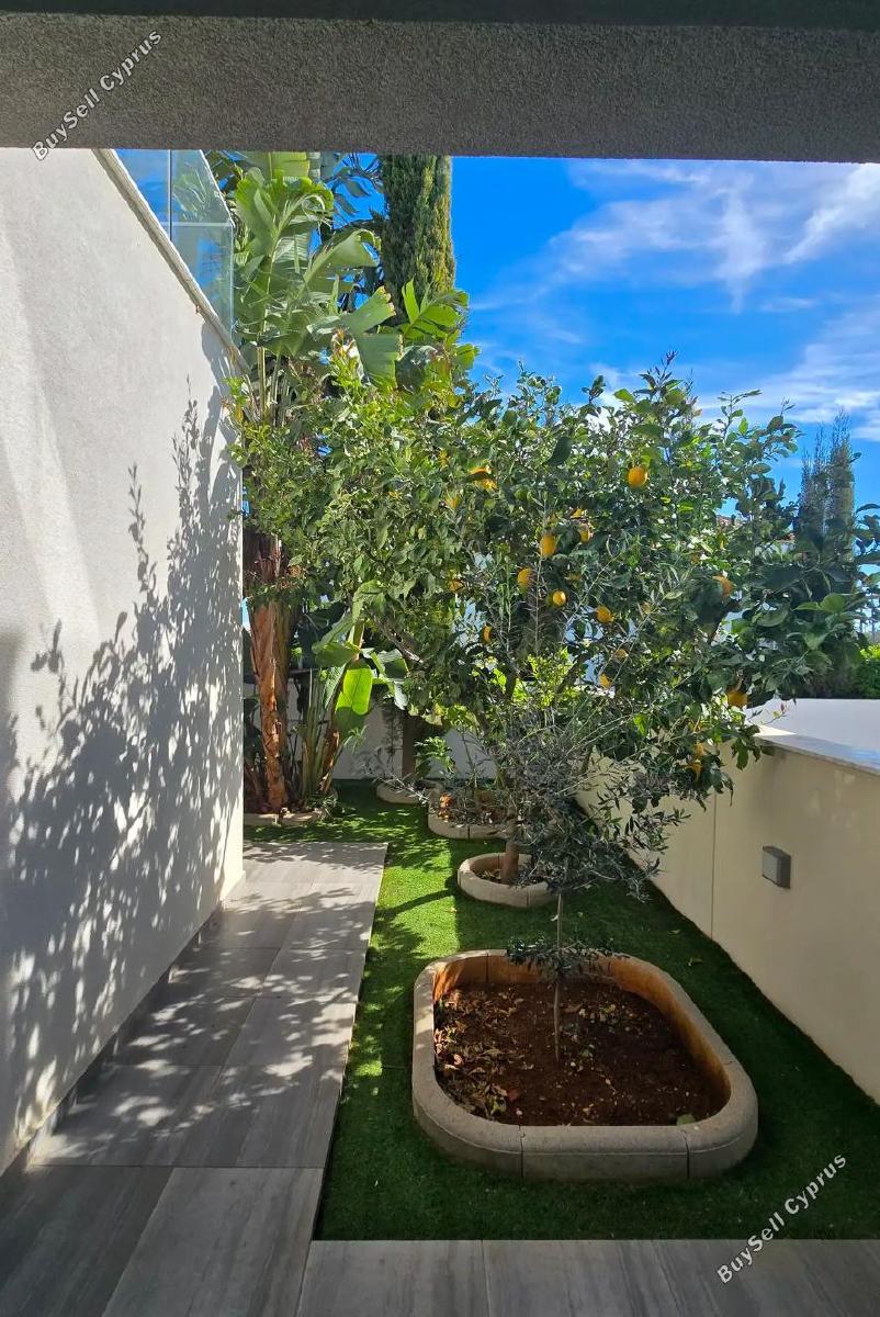3 bedroom detached house for sale erimi limassol 8726534 image 16331831
