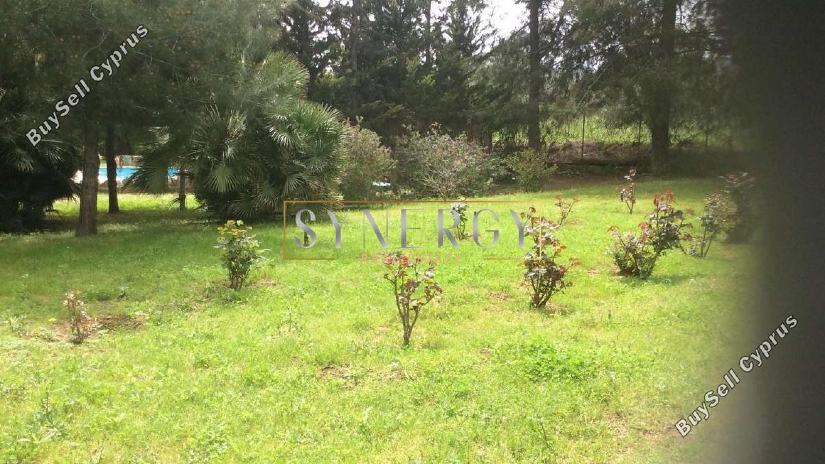 4 bedroom detached house for sale klirou nicosia 1232534 image 5215755