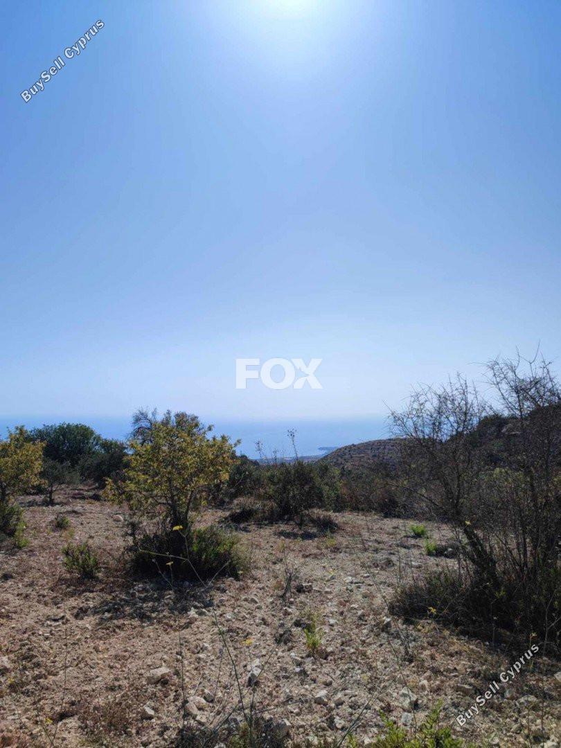 land for sale koili paphos 1161534 image 5559606